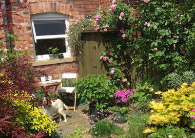 Under The Ivy Garden Design 10