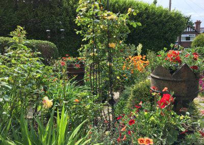 Under The Ivy Garden Design 13