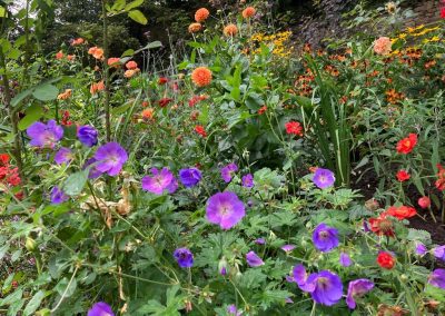 Under The Ivy Garden Design 3