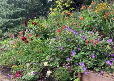 Under The Ivy Garden Design 4