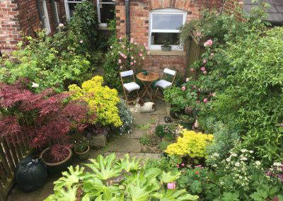 Under The Ivy Garden Design 19