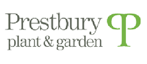 Under The Ivy Garden Design Prestbury Plant and Garden